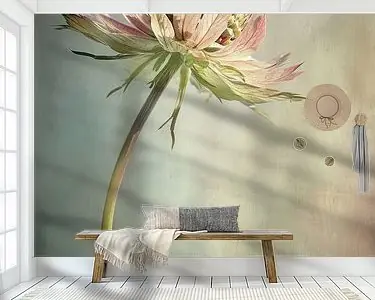 Nowość Zeeuws knoopje, minimalisme