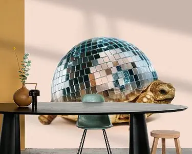 Tylko dziś DISCO TURTLE