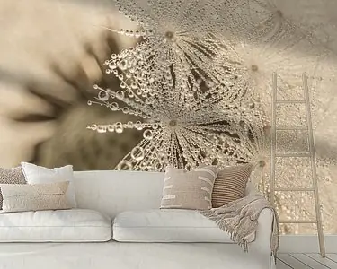 Kup teraz Landelijk: Pluisjes met kleine waterdruppeltjes voor de pluizenbol