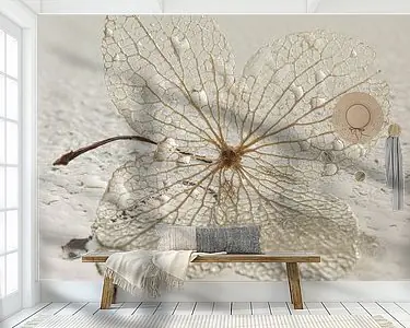 Rabat Een hortensiablaadje met waterdruppeltjes