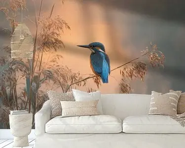 Najlepsza cena IJsvogel bij Zonsopkomst