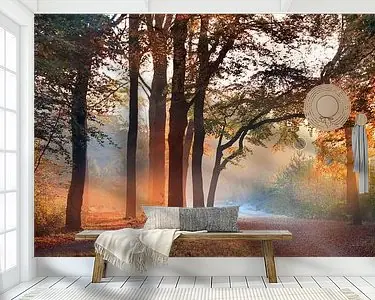 Bos Panorama I Popularny