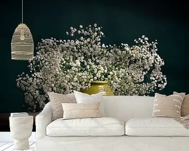 Gipskruid, stilleven Darmowa dostawa