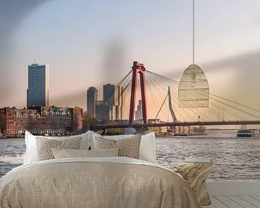 Rotterdamse Bruggen met Watertaxi Tani