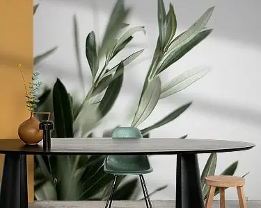 Oferta Olijfen takken