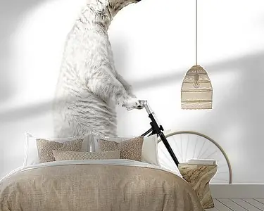 When you Think you've Seen Everything Ostatnia szansa