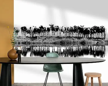 Ekspresowa dostawa cows in a row (zwart\\/wit)