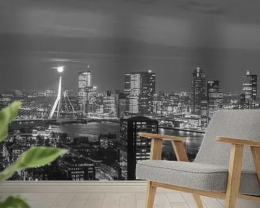 Ostatnia szansa Full moon over Erasmusbridge Rotterdam