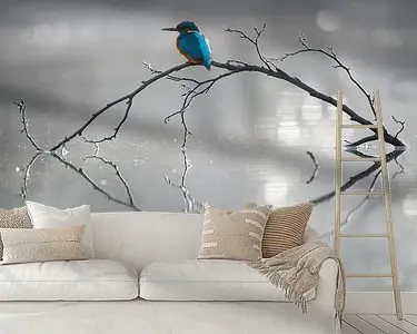 Niska cena IJsvogel - Perfecte ochtend