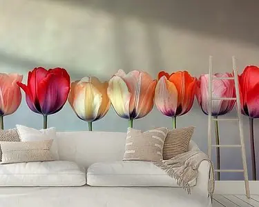 Ekspresowa dostawa Tulpen Panorama