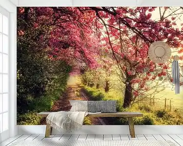 Pink morning Wyprzedaż