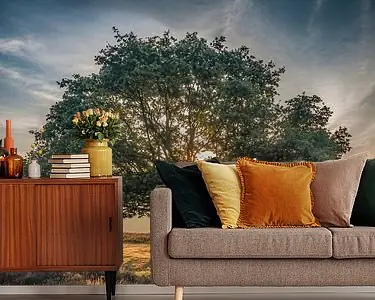 De glorieuze boom Zamów teraz