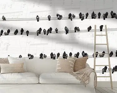 Tylko dziś Muziek van de duiven