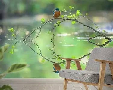 Oferta IJsvogel reflectie