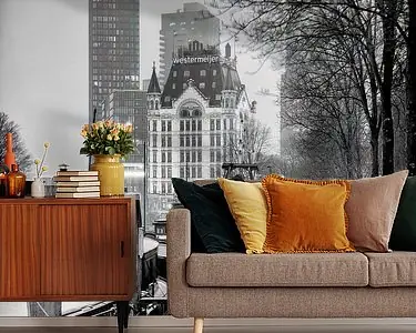 Ekspresowa dostawa Winterfoto van de Haringvlieg en het Witte Huis in Rotterdam