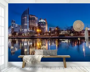 Skyline Den Haag Szybka dostawa