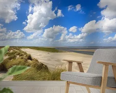 Strand Ameland, groene strand Nowość