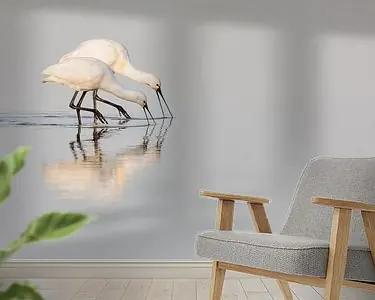 Premium Vogels | Lepelaar ouder en jong Oostvaardersplassen