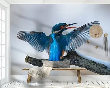 Tani IJsvogel - Blue perfection