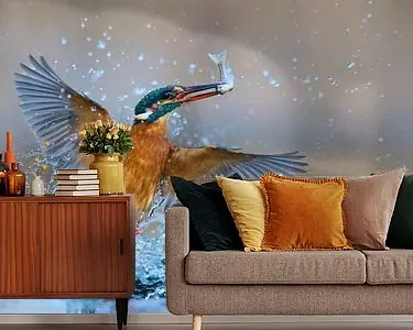 IJsvogel - In volle glorie Oferta