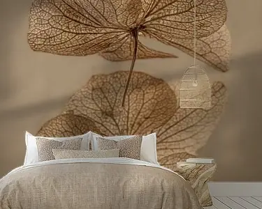 Ekspresowa dostawa Een hortensia blaadje met spiegelbeeld in bruintinten