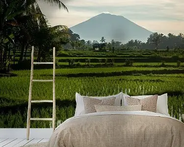 Darmowa dostawa Nieuwe rijst in Ubud 4