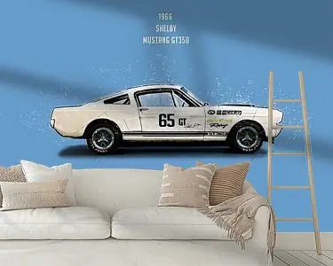 CiC Mustang 350GT Zwrot pieniędzy