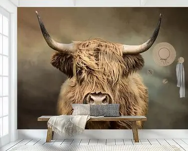 Szybka dostawa Schotse Hooglander