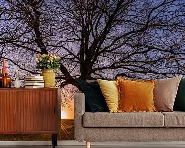 Grote boom en hunebedden met zonnestralen Promocja