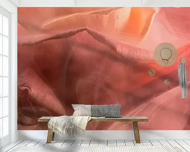 Roze Rokende Roos Szybka dostawa