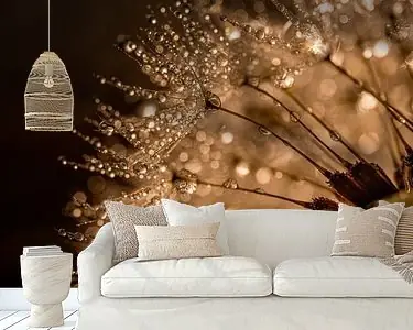 Druppels glinsteren op depaardenbloem pluisjes in warm "goud" licht Bezpieczna płatność