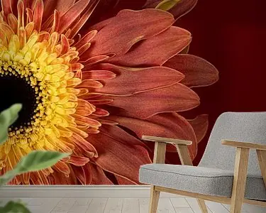 Warme stralende tinten van een bloem: Natuurlijke warmte als muurdecoratie Autentyczny