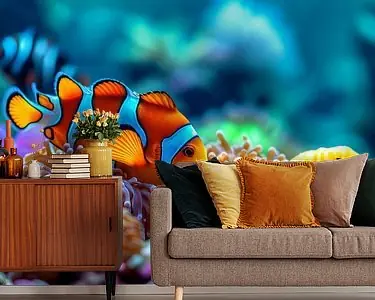 Tropische Clownvis Tani