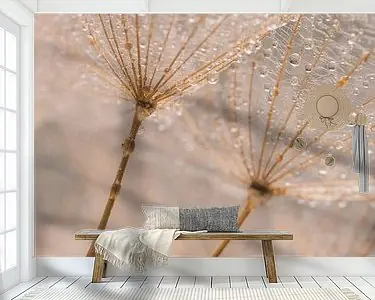 Popularny Natuurlijke pastelkleurige pluisjes dragen de kleine waterdruppeltjes