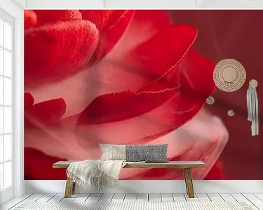 Popularny Rode elegante bloem met zachte witte rook