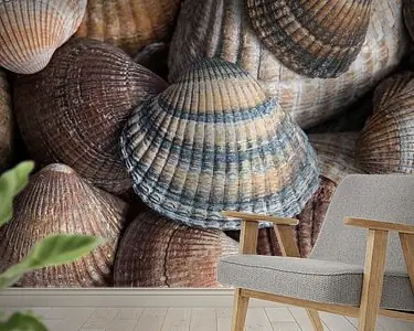 Oferta limitowana Schelpen bruin, beige en zandkleurig (verticaal)