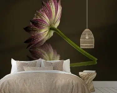 Een moment van stille reflectie: Rust in de muurdecoratie Kup teraz