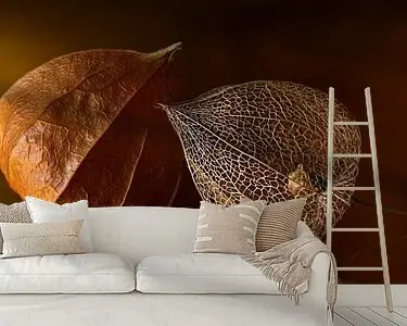 Samen: twee generaties lampionnetjes in warme tinten. Nowość