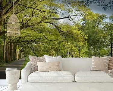 Doorkijk & bomenrij(k) Wyprzedaż