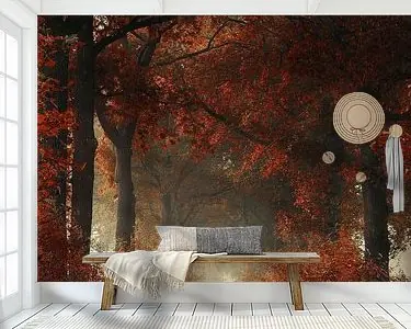 Tylko dziś A warm welcome