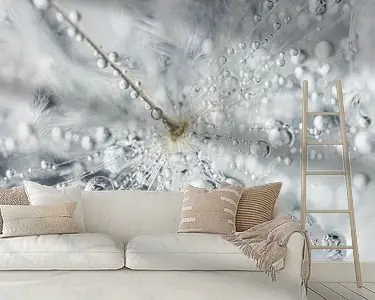 Darmowa dostawa Druppeltjes op een paardenbloem pluisje