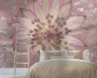 Wysoka jakość Zachte roze rust: Zeeuws Knoopje als muurdecoratie in een roze vierkant