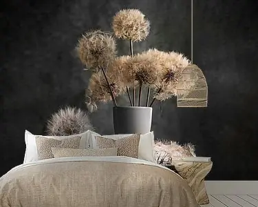 Kup teraz Paardebloem zaadpeul