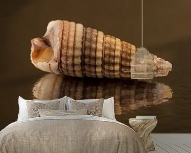 Niska cena Panorama van een schelp in verschillende bruintinten