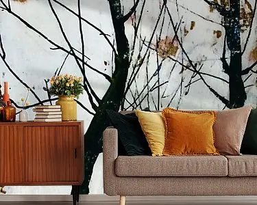 Listening to the trees Premium