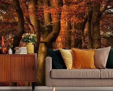 Autentyczny Dromerige herfstsfeer in het bos: Oranje bruintinten in de natuur