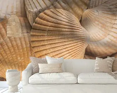 Oferta Warm strandgevoel! Schelpen in beige - oranje kleuren