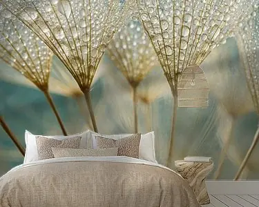 Wysoka jakość Goud - bruine pluisjes met waterdruppeltjes met petrol achtergrond