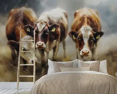 Koeien in de wei Ostatnia szansa