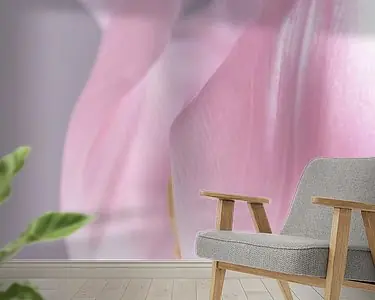 De zacht roze tulp Oferta limitowana